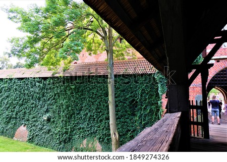 View from a wooden bridge over a moat to an ivy-covered defensive wall, Malbork Castle, Poland.
