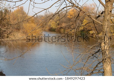 Autumn in the Volga river Delta, Astrakhan region