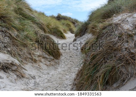 Landscape on Amrum, Germany. Amrum is one of the North Frisian Islands on the German North Sea coast, south of Sylt and west of Foehr
