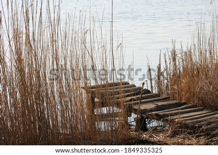 Small bridge in water. Rural wooden river pier, landscape. Idyllic picturesque view of the wooden pier in the woter. Pier in the reeds