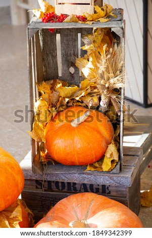 A large bright ripe pumpkin Jack-o-lantern vertical