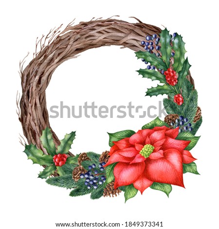 Watercolor illustration with winter plants isolated on the white background.Hand painted watercolor clipart. Christmas composition, new year holiday.