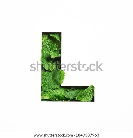 Letter L of English alphabet of green mint natural leafs and cut paper isolated on white. Leaves font Royalty-Free Stock Photo #1849387963