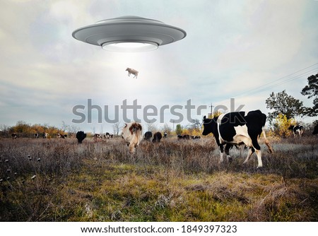 Landscape with cows and UFO. Photo with 3d rendering element  Royalty-Free Stock Photo #1849397323