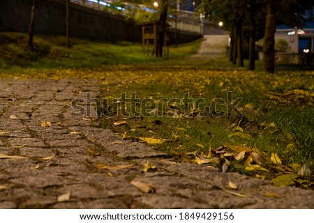 
grass in the park and fallen leaves at night and trees in the background and light from street lights and a paved path made of cobblestones at night in the center of prague