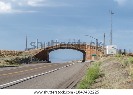 A wildlife crossing overpass along Highway 93 in Elko County, NV allows pronghorn antelope to safely cross the bridge over the road on a grassy strip preventing car accidents. Royalty-Free Stock Photo #1849432225