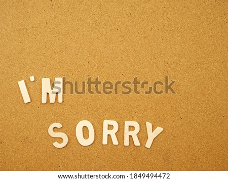 "I'm sorry" on wood board with copy space