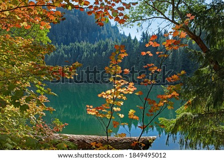 Calm quiet mountain forest lake bright colorful autumn leaves