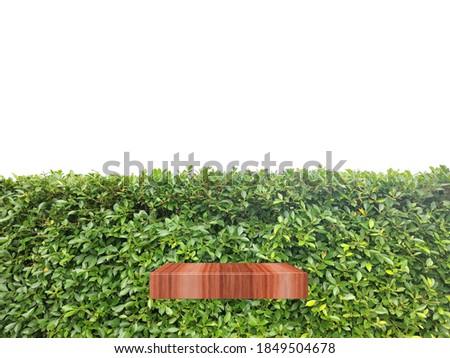 Empty wooden product shelves on  green tree background