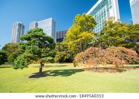 A clear autumn day at the Hamarikyu Gardens. Hama Rikyu Gardens is a Japanese garden located in the Tokyo Bay Area.