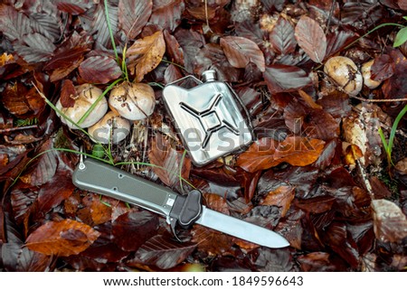 old knife with metal flask next to mushrooms in the forest