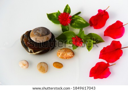 Sea stones with flowers on a white background.