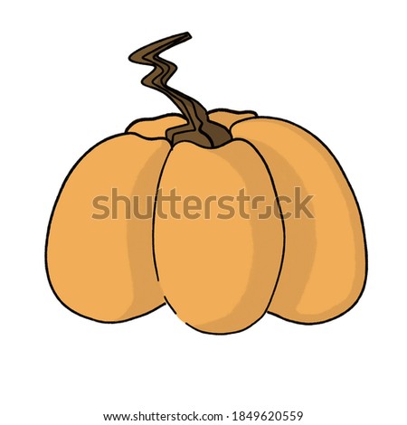Bright juicy ocher pumpkin on a white background with a tail