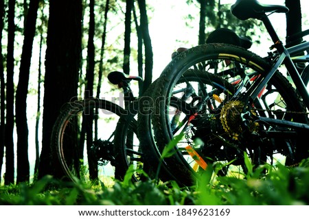 bicycle on pine forest. good for background image