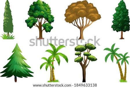 Set of variety plants and trees illustration