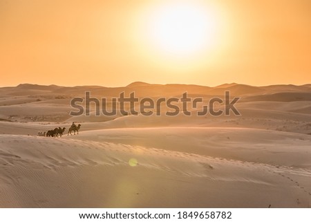 Desert and camel team in Inner Mongolia of China at sunset Royalty-Free Stock Photo #1849658782