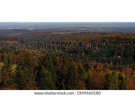 The Black Forest in autumn from above