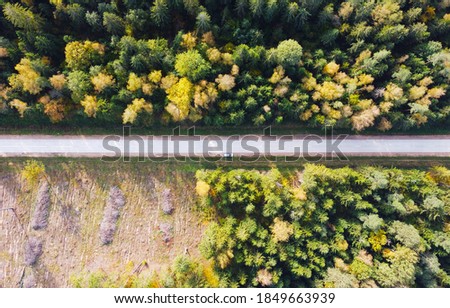 Top view of road in autumn European forest with yellow and green trees