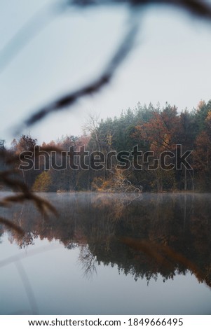 early morning view at the empty pond with the forest in the background hidden in the autumn fog and the reflection on the calm surface