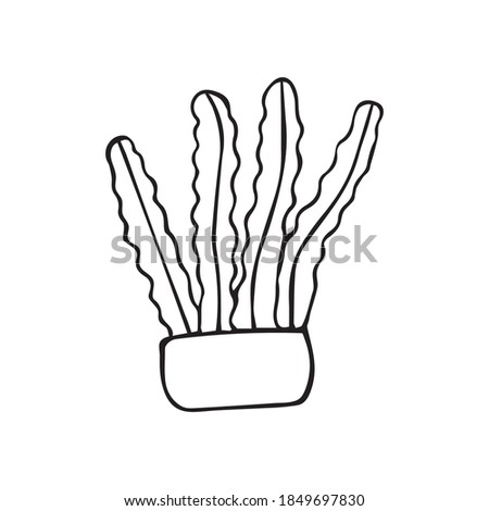 home plant potted. Vector hand-drawn icon. Isolated on white background.