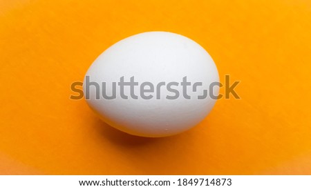 White Egg In A Yellow Color Background Stock Photo