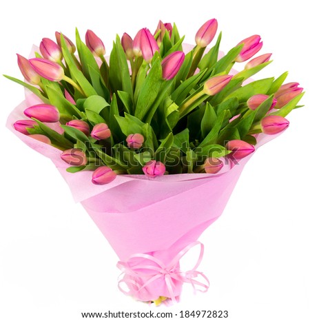 Bouquet of pink and red tulips isolated on white background. Beautiful natural flowers for a gift. Bunch of lot of fresh tulips with a pink wrap and ribbon.
