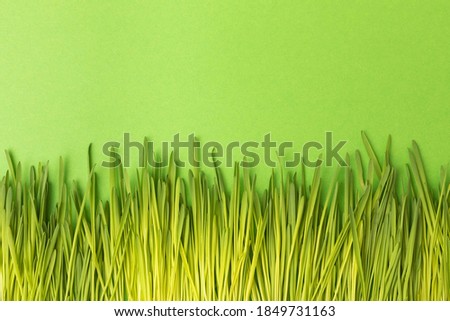 A row of young green grass on a homogeneous paper green background.