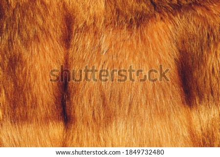 Textures red fox fur. Red fox shaggy fur texture cloth abstract, furry rusty texture plain surface, rough pelt background in horizontal orientation, nobody.