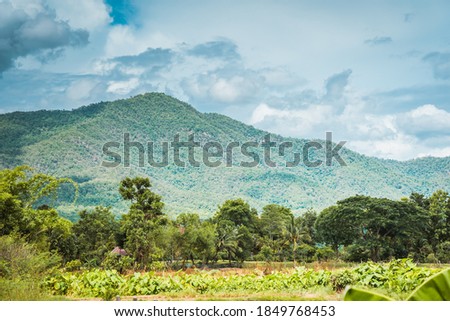 Nature Concept: Calm Scenery of the Green Mountains with trees in Chiang Mai, Thailand