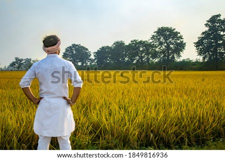 Farmer looking at his beautiful contrasting field Royalty-Free Stock Photo #1849816936