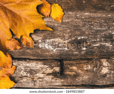 Colorful autumn leaves framing brown grained wooden table with free space