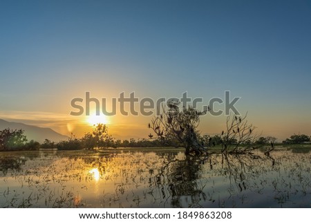 Water trees reflection during sunrise over Lake Kerkini in Serres in Central Macedonia in Greece.Lake Kerkini is a unique wetland and has been declared as National Park according to Ramsar Convention