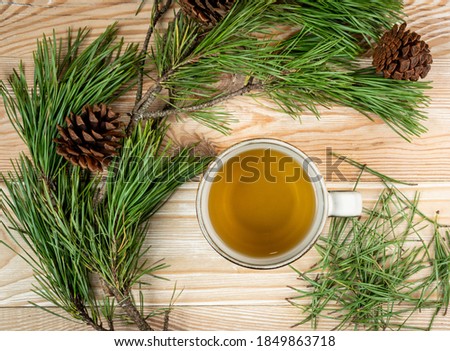 Pine needles tea in white cup top view. Healthy winter beverage in camping, pine tree needles tea in mug. Medicine scurvy, source of vitamin C and carotene Royalty-Free Stock Photo #1849863718