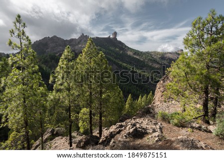 Panorama view on Roque Nublo at the timber line in the Highlands of Gran Canaria Royalty-Free Stock Photo #1849875151