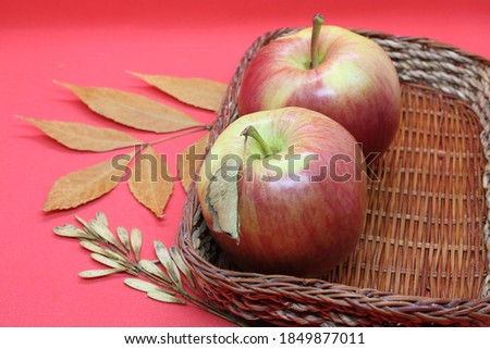 autumn leaves and a wicker basket with apples on a red background.