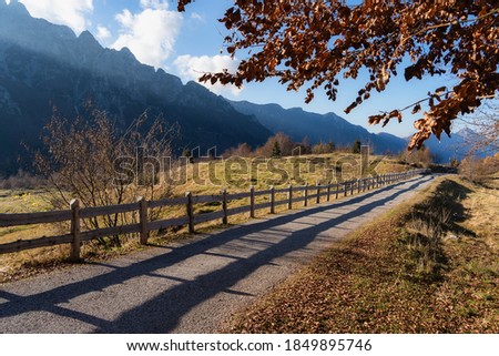 Autumn Road - Campogrosso Veneto Italy