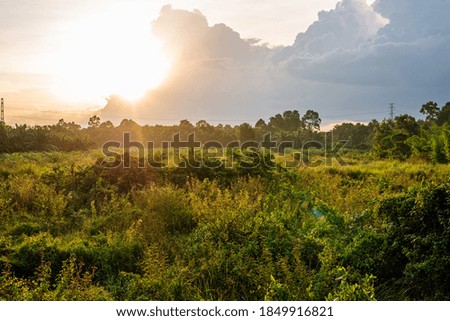 Landscape meadows view with sky and white cloud and green grass in morning light