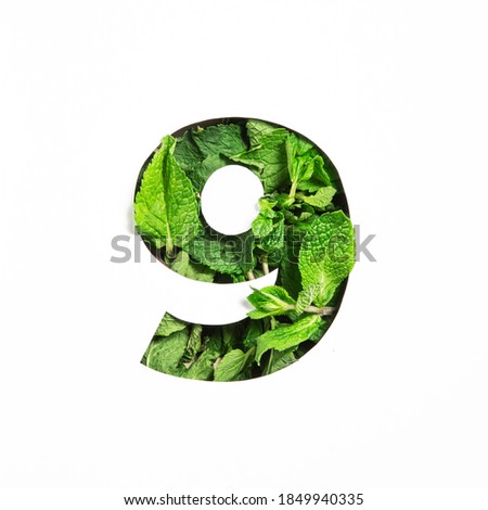Green mint number nine made of natural leafs and paper cut in shape of ninth numeral isolated on white. Leaves font