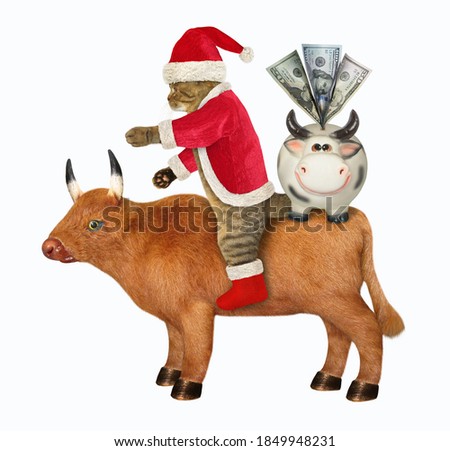 A cat in Santa Claus clothing with Christmas gifts and a money box rides an ox. White background. Isolated.