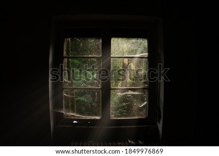 windows with light beams in the dark room