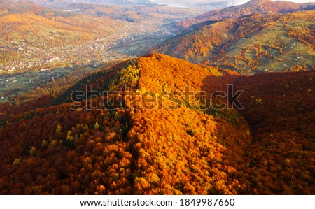 Fantastic aerial photography of the autumn forest in the mountains. Location place of Carpathian mountains, Ukraine, Europe. Drone photography. Fresh vibrant colors. Discover the beauty of earth.