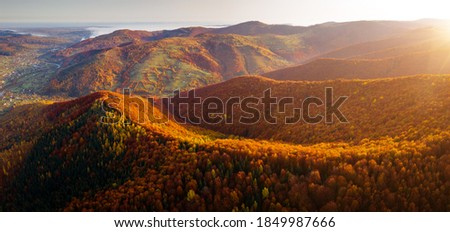 Fantastic aerial photography of the autumn forest in the mountains. Location place of Carpathian mountains, Ukraine, Europe. Drone photography. Fresh vibrant colors. Discover the beauty of earth.