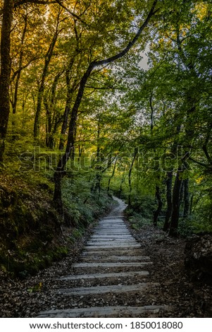 A nice path in the Greek nature