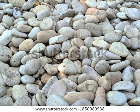 small white brown pebbles are beautiful and suitable for gardening path decoration