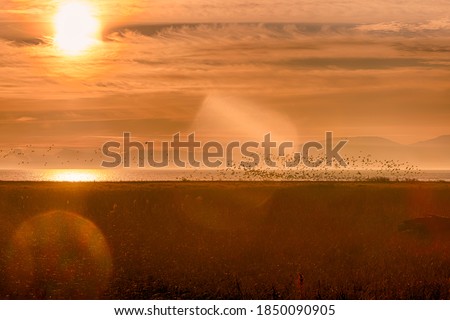 Stunning sunset landscape picture. Lens flare and sun rays create beautiful scenery. Fiery yellow and orange sky, dramatic clouds. Flying bird silhouettes 