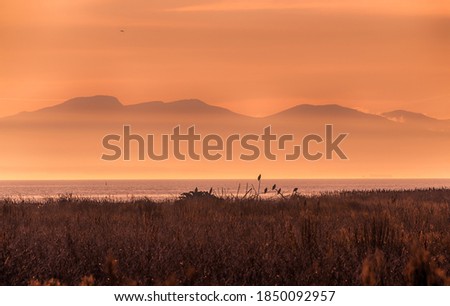 Stunning sunset landscape picture. Fiery yellow and orange sky. The ocean is visible as well as the mountains in the background.  Eagles sitting on a tree create silhouettes 