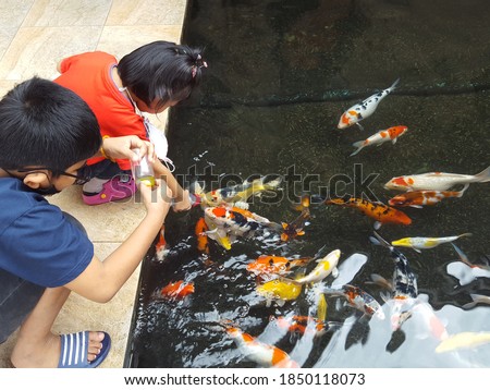 Children's hands hold fish food. Animal care concept.Baby hand holding milk bottle with fish food while feeding Fancy carp or Koi fishes in a pond.Feeding fishes. Fancy carp fishes. Royalty-Free Stock Photo #1850118073