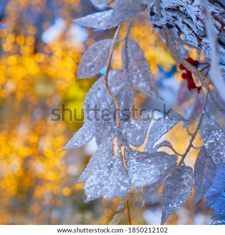 Christmas decoration of white leaves on a background of yellow garland lights