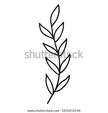 Hand-drawn leaves template. Floral Design Element. Design for social networks, web, advertising