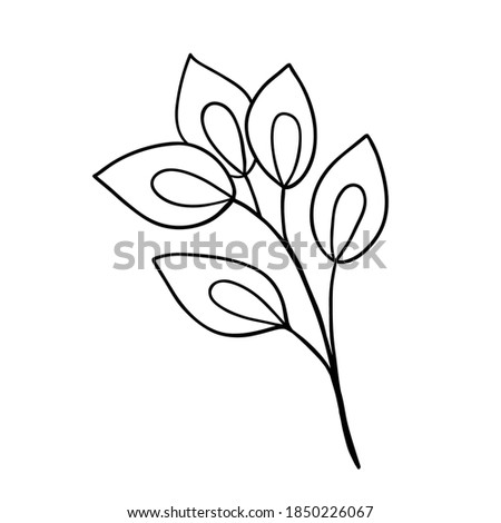 Hand drawn decorative branch with leaves. Floral Design Element. Design for social networks, web, advertising